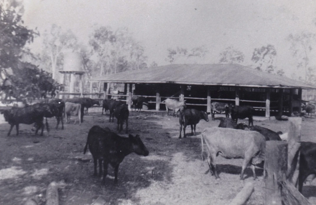 College Dairy 1946 Image
