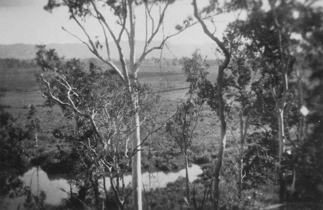 View from the Point Cira 1937 Image