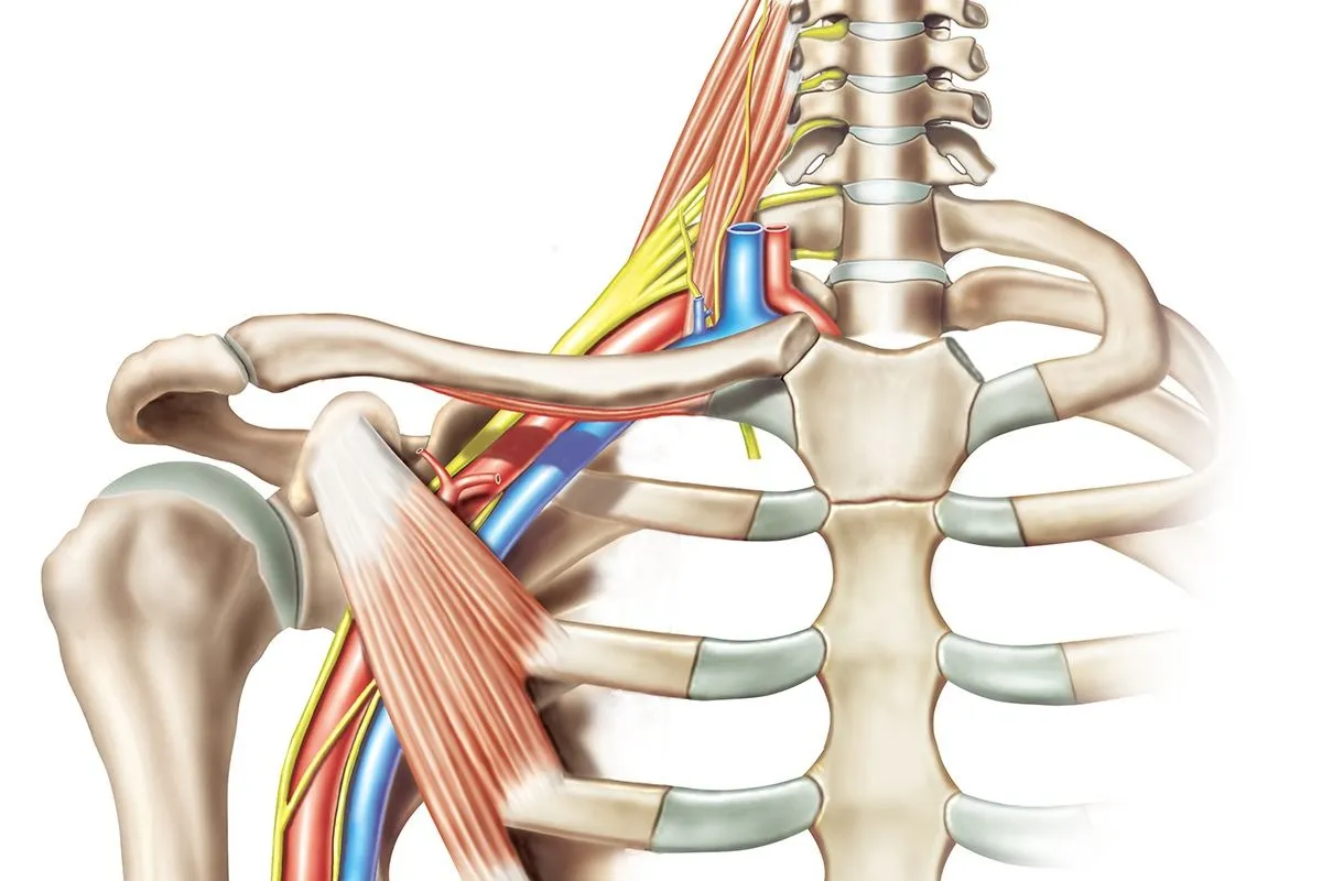 Thoracic Outlet Disorders