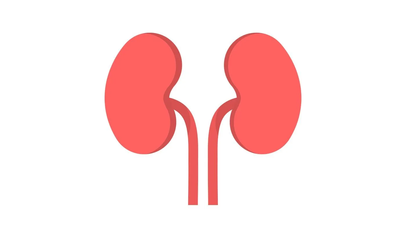 Renal & Mesenteric Artery Stenosis