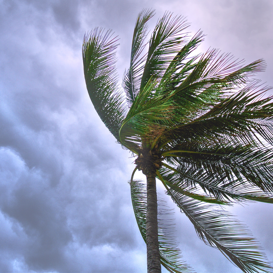 Preparing for North Queensland's Weather