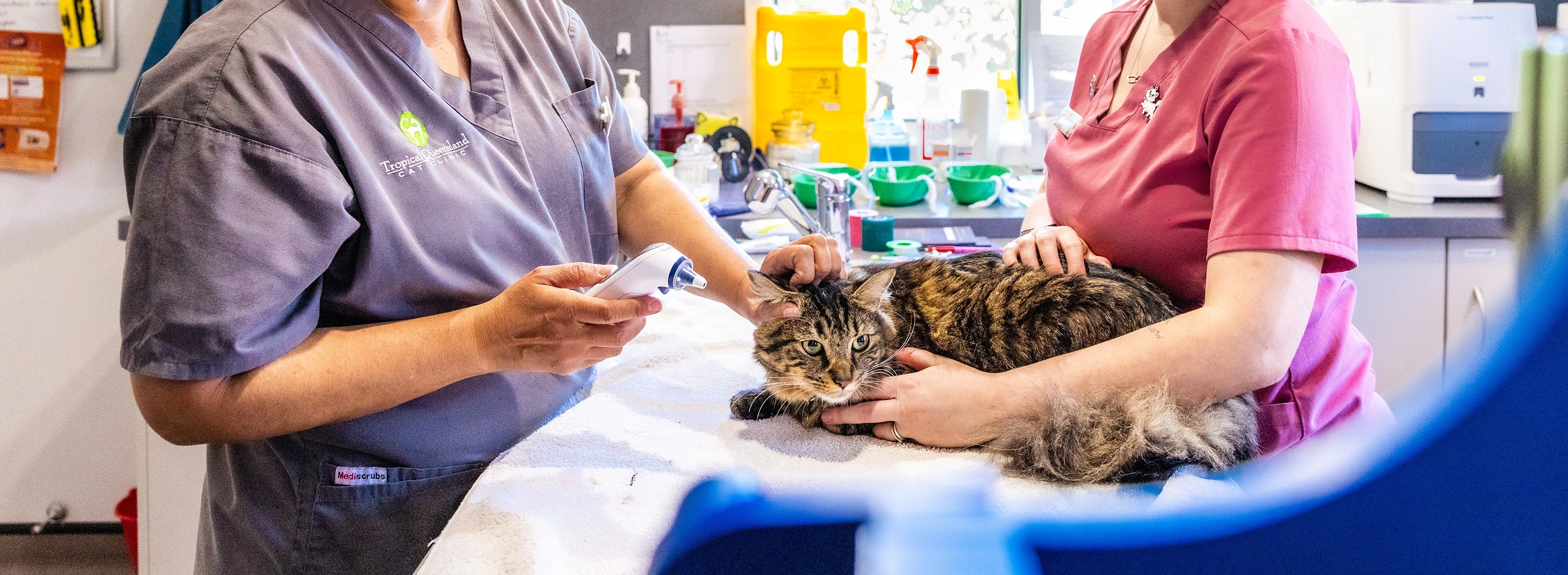 Health Care Services