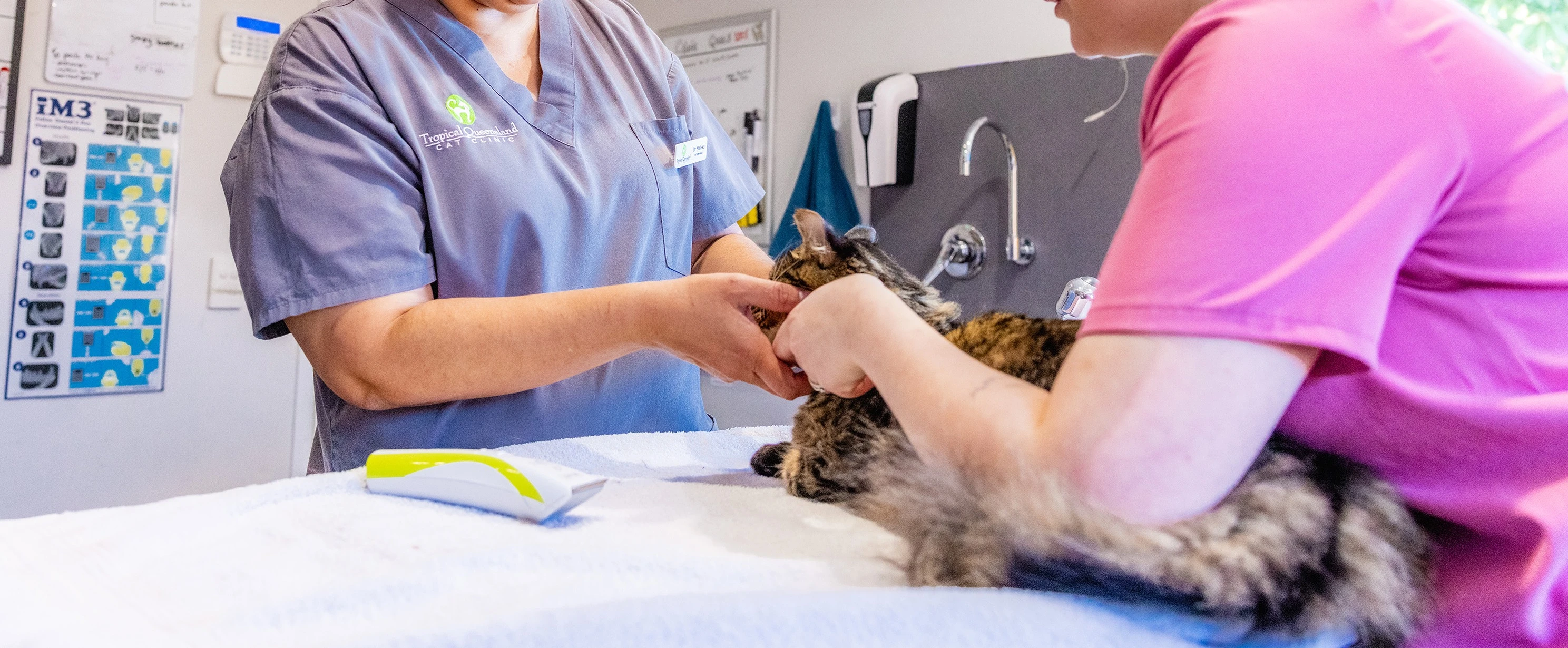 Dental Checks & Cleaning