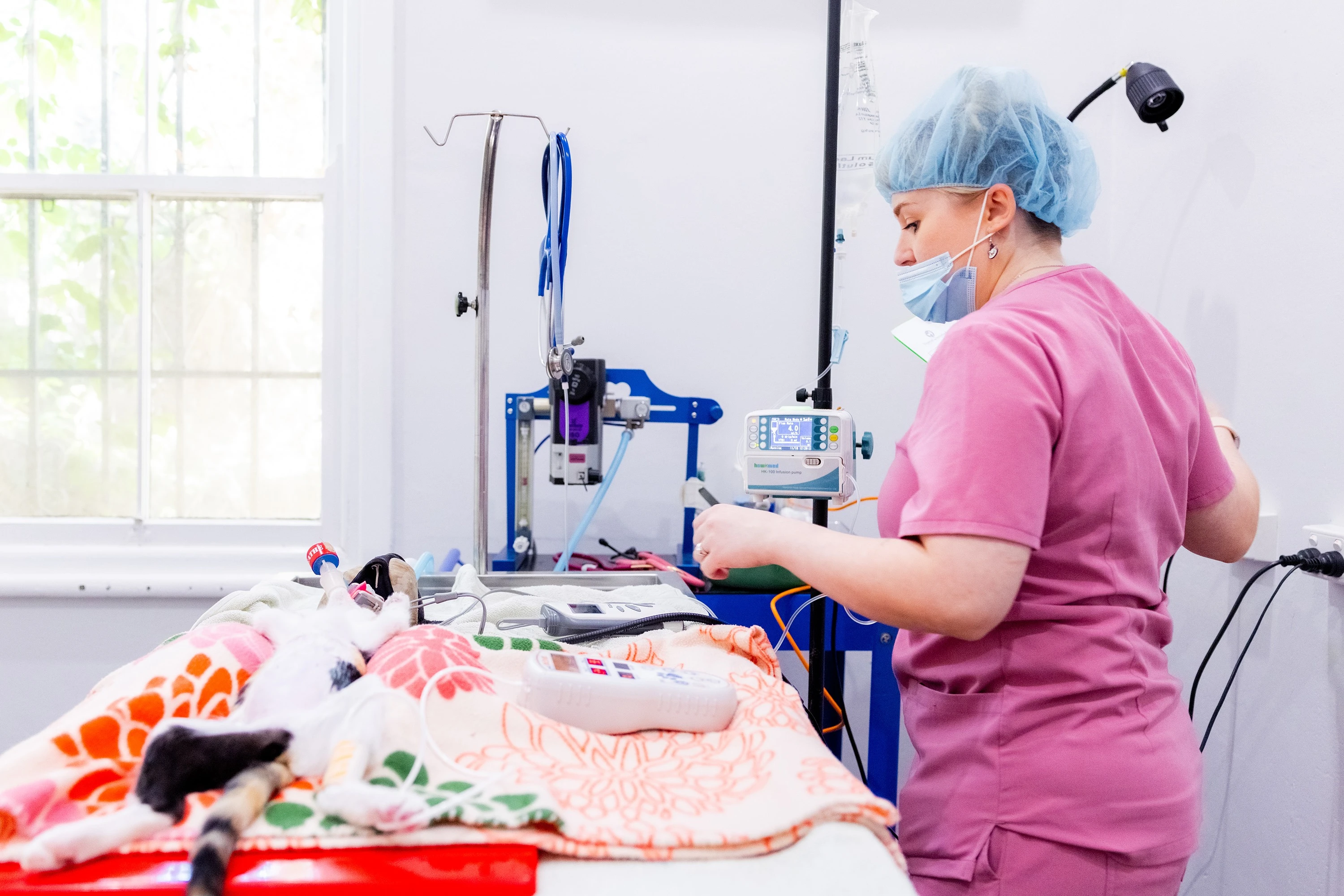 Soft Tissue & Lump Removal Surgery