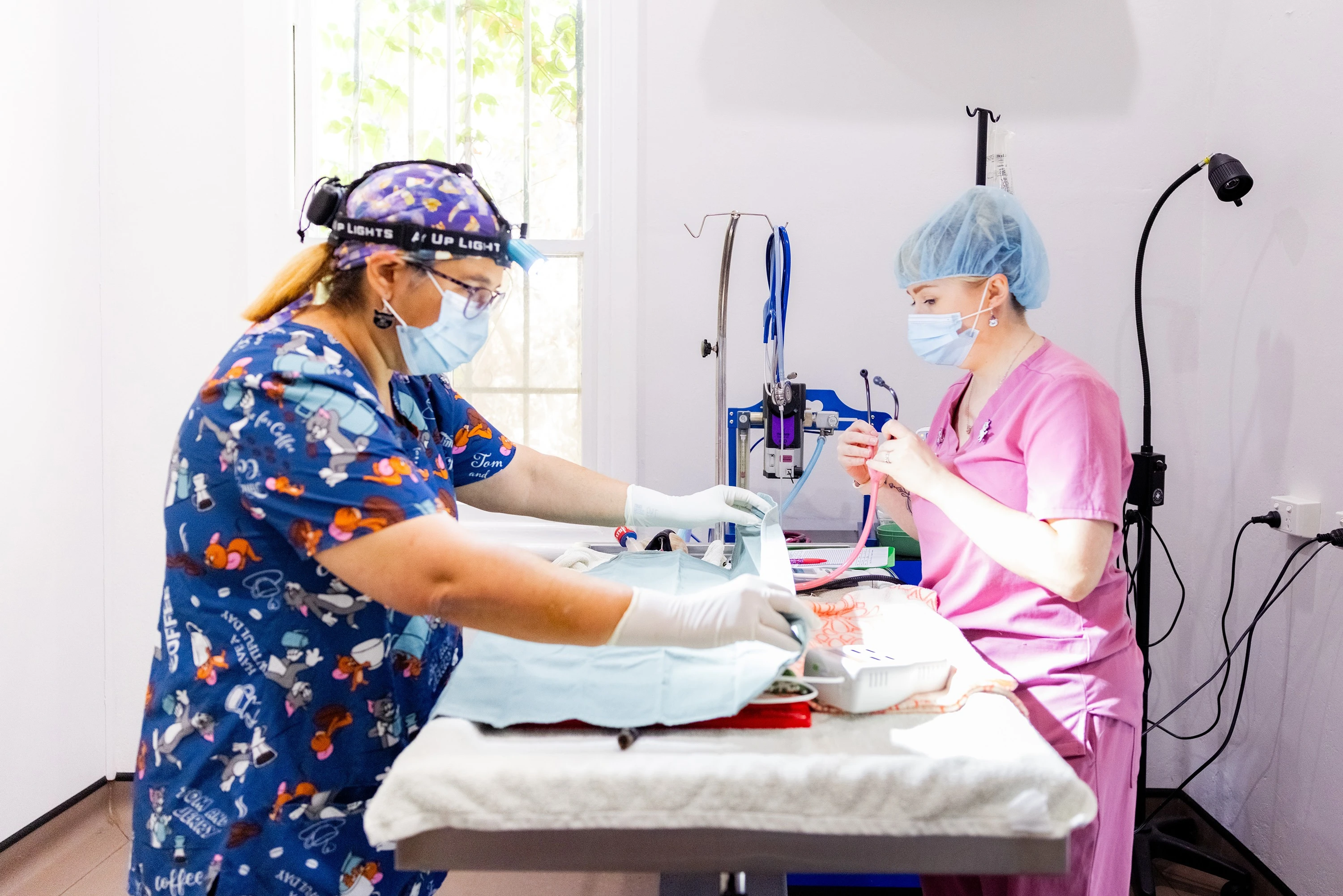 Gastrointestinal Surgery