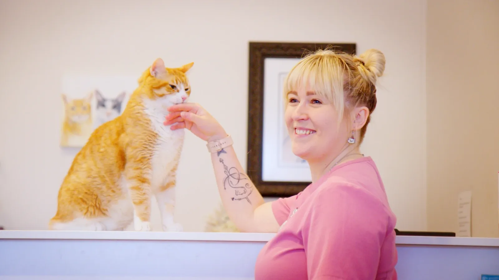 Trusted by cat parents across North Queensland Image